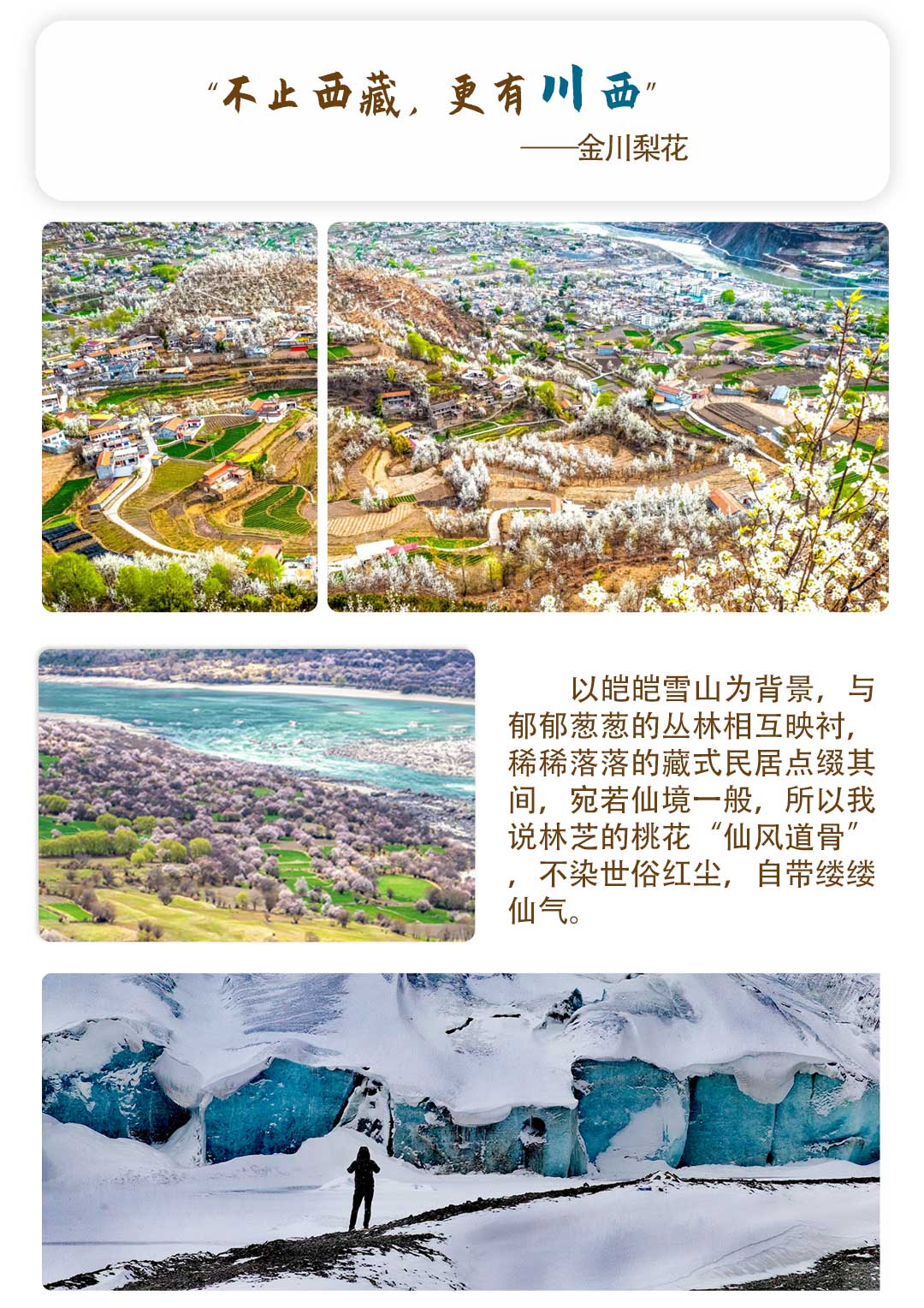 林芝桃花节川西金川梨花节春季花路川藏线3月4月特别纯玩小团