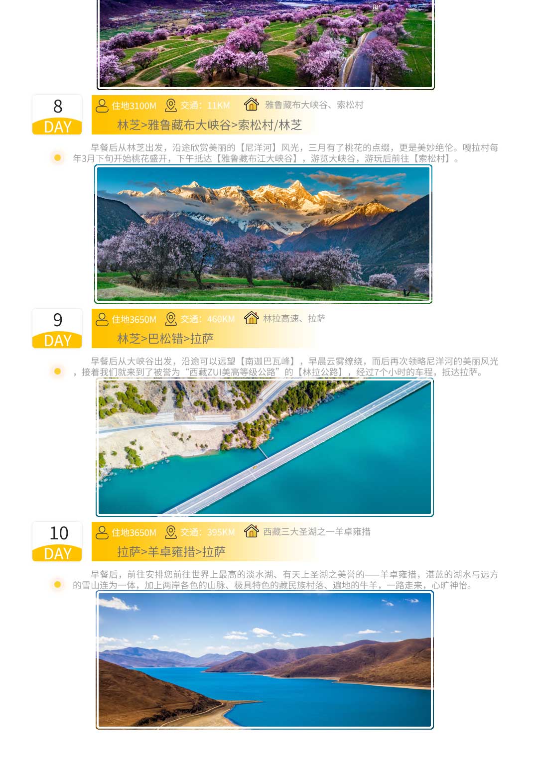林芝桃花节川西金川梨花节春季花路川藏线3月4月特别纯玩小团