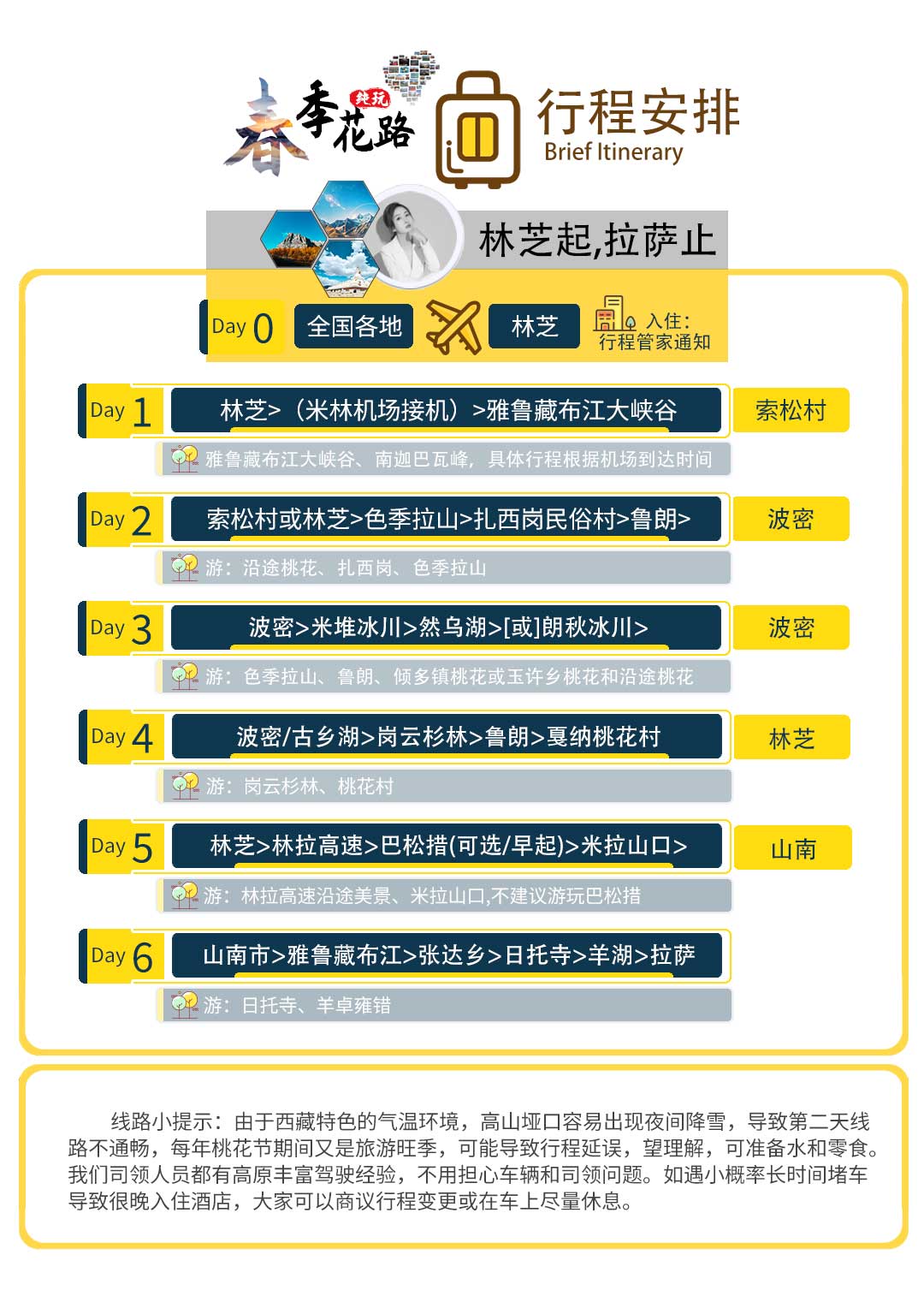 林芝桃花节六天